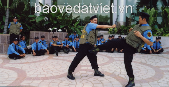 Bảo vệ Đất Việt huấn luyện võ thuật
